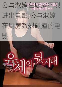 公与淑婷在厨房猛烈进出电影,公与淑婷在厨房激烈碰撞的电影