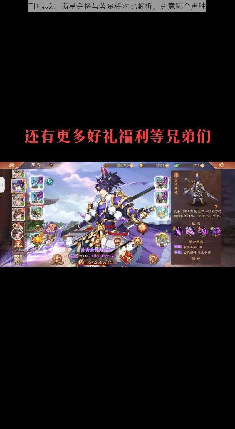 少年三国志2:满星金将与紫金将对比解析,究竟哪个更胜一筹?