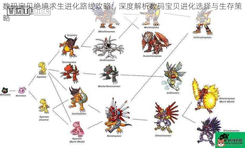 数码宝贝绝境求生进化路线攻略:深度解析数码宝贝进化选择与生存策略