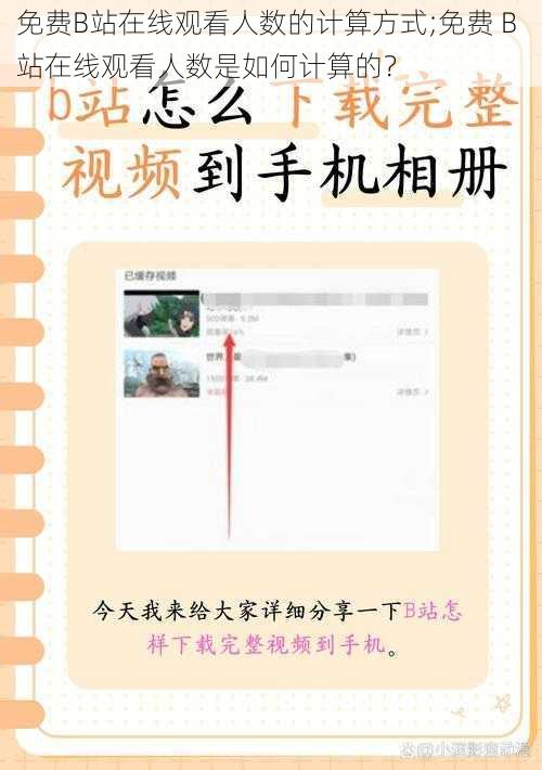 免费B站在线观看人数的计算方式;免费 B 站在线观看人数是如何计算的?